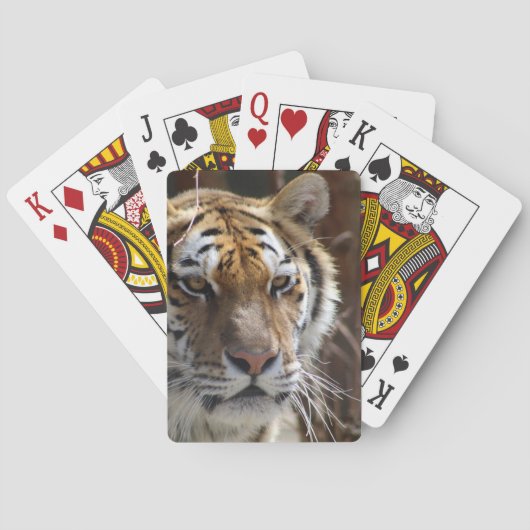tijger pokerkaarten (Achterkant)
