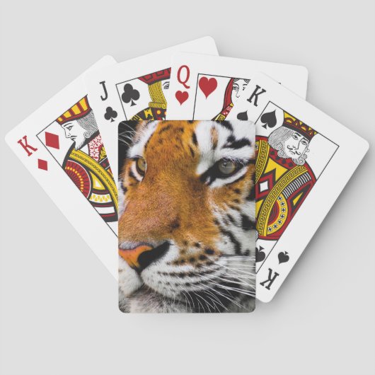 tijger pokerkaarten (Achterkant)