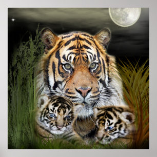 tijger poster