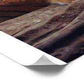 tijger poster (Hoek)