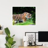 tijger poster (Thuiskantoor)