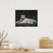 tijger poster (Keuken)