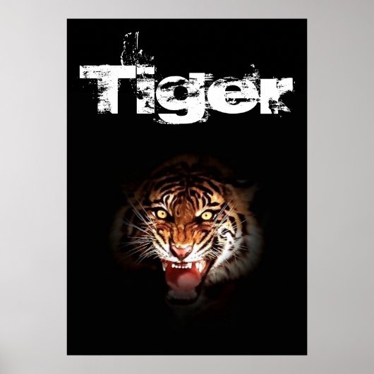 tijger poster (Voorkant)