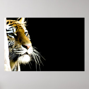 tijger poster