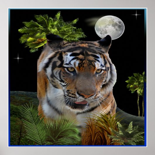 tijger poster (Voorkant)