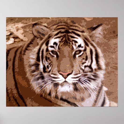 tijger poster (Voorkant)