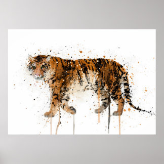 Tijger Poster