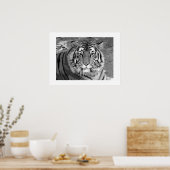 Tijger Poster met witte rand (Keuken)
