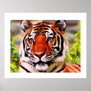 Tijger Poster Print - Pop Art Stijl Tijgers Poster