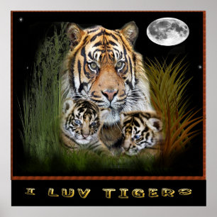 Tijger posters