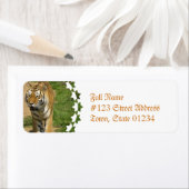 Tijger Prowl Mailing Labels (Insitu)