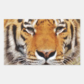 tijger rechthoekige sticker (Voorkant)