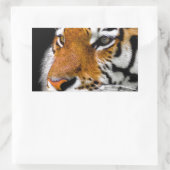 tijger rechthoekige sticker (Tas)