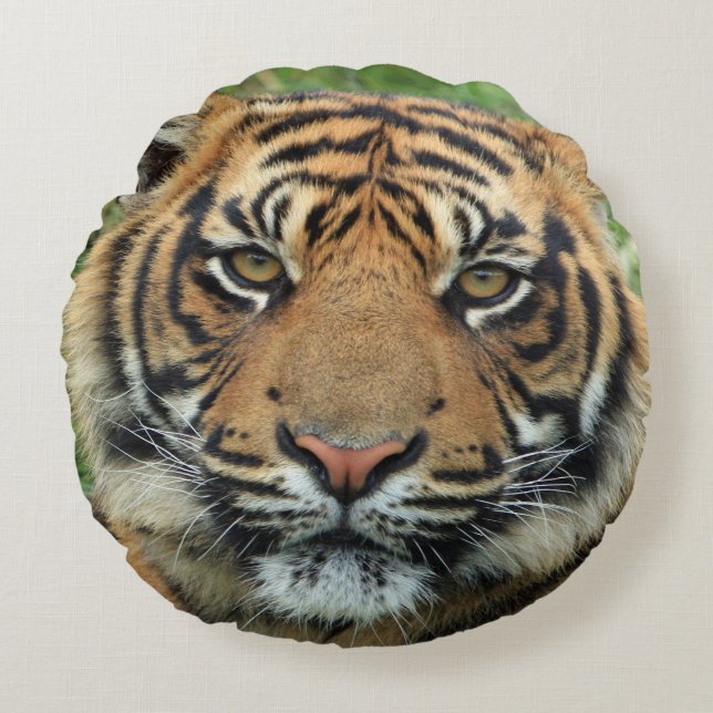 tijger rond kussen (Voorkant)