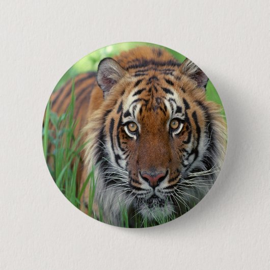 tijger ronde button 5,7 cm (Voorkant)