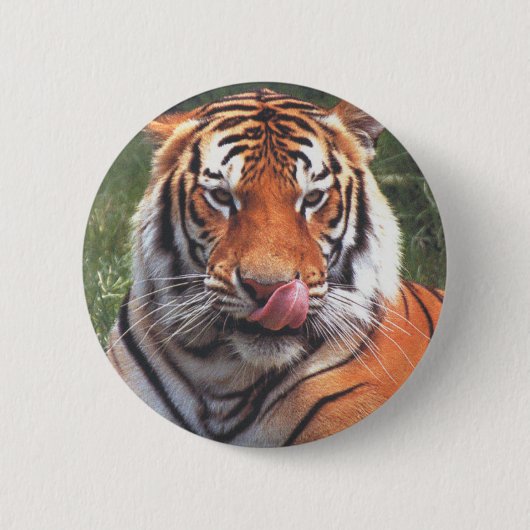 tijger ronde button 5,7 cm (Voorkant)