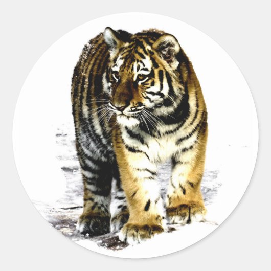 tijger ronde sticker (Voorkant)