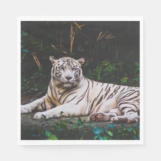 tijger servet (Voorkant)