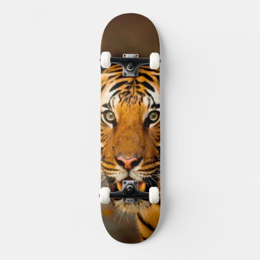 tijger skateboard (Voorkant)