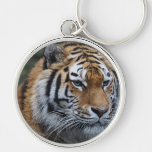 tijger sleutelhanger
