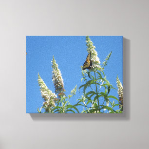 tijger slib op de Struik van de vlinder Canvas Afdruk