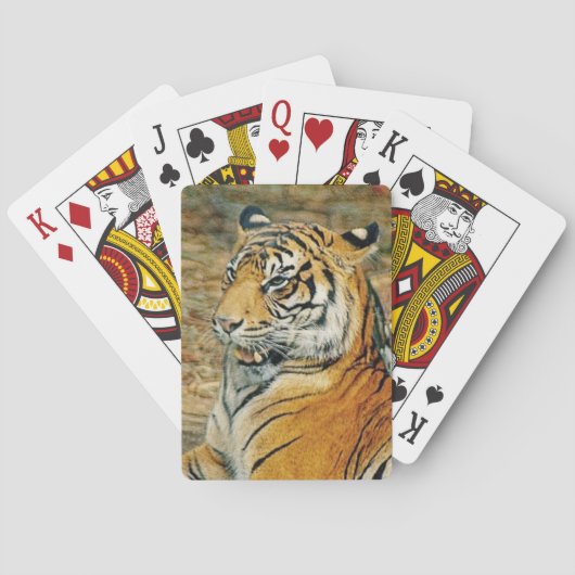 tijger speelkaarten (Achterkant)