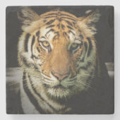 tijger stenen onderzetter (Voorkant)
