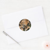 Tijger sticker (Envelop)