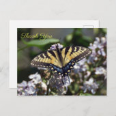 Tijger Swallowtail Butterfly Dank u Briefkaart (Voorkant / Achterkant)