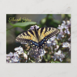 Tijger Swallowtail Butterfly Dank u Briefkaart