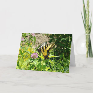Tijger Swallowtail Butterfly - op klaver Feestdagen Kaart