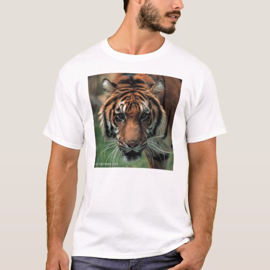 tijger t-shirt (Voorkant)