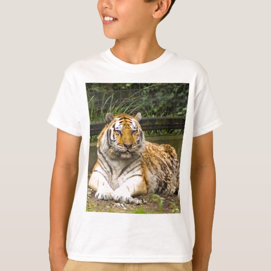 tijger t-shirt (Voorkant)