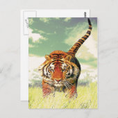 Tijger tijger! briefkaart (Voorkant / Achterkant)