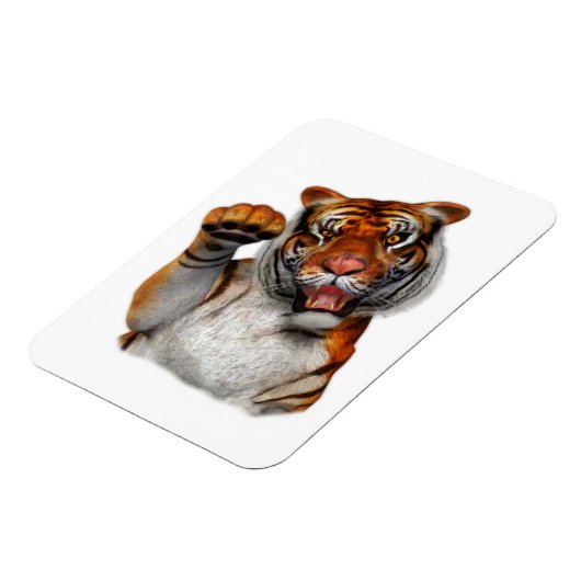 Tijger, tijger magneet (Linkerzijde)