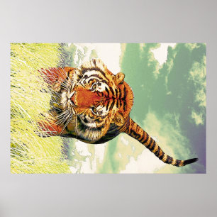 Tijger tijger! poster