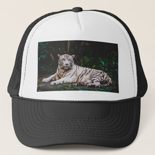 tijger trucker pet (Voorkant)