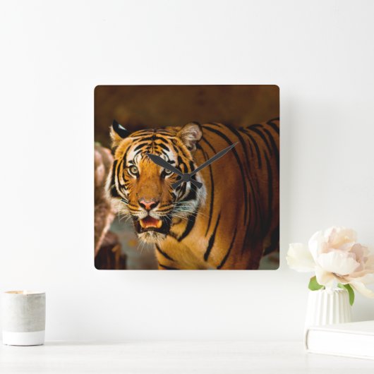 tijger vierkante klok (Huis)