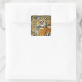tijger vierkante sticker (Tas)
