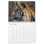 Tijger Wilde Dieren 2025 Kalender (Mar 2026)