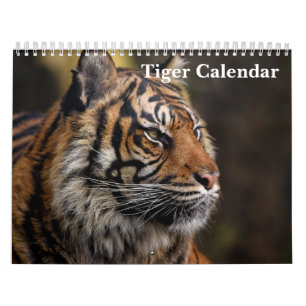 Tijger Wilde Dieren 2025 Kalender