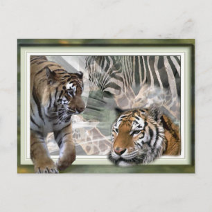 Tijger, Zebra, Giraffe, luiers en groeten Briefkaart
