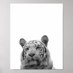 Tijger Zwart Wit Kinderkamer Foto Poster