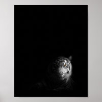 Tijger, zwarte en witte foto,