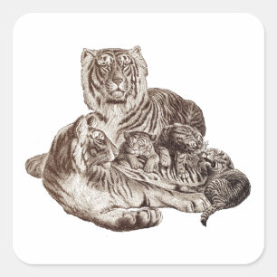 Tijgerfamilie Vierkante Sticker