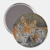 Tijgergrotmagneet Magneet (Voorkant / Achterkant)