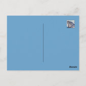 Tijgerhaai Briefkaart (Achterkant)