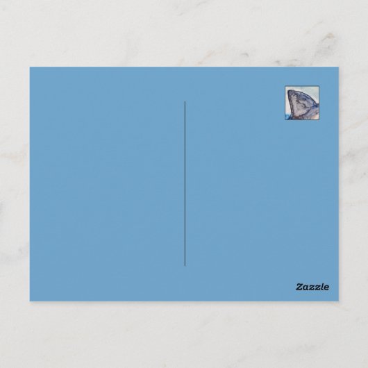 Tijgerhaai Briefkaart (Achterkant)
