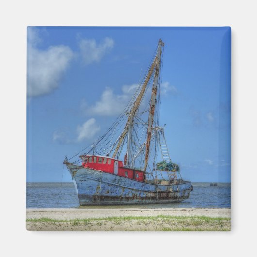 Tijgerhaai Magneet (Voorkant)