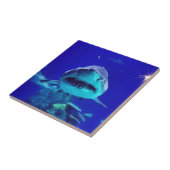 Tijgerhaai Tegeltje (Zijkant)